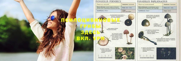метадон Воткинск