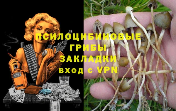 гидропоника Тутаев