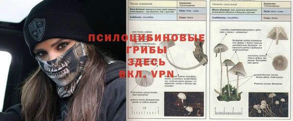 мет Приозерск