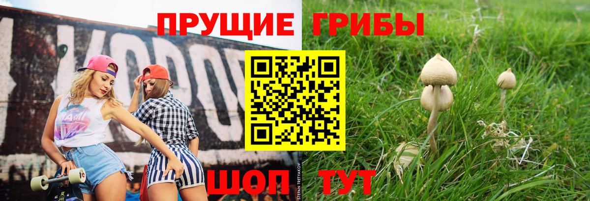 Галлюциногенные грибы Psilocybe  Великий Устюг  Галлюциногенные грибы Magic Shrooms 