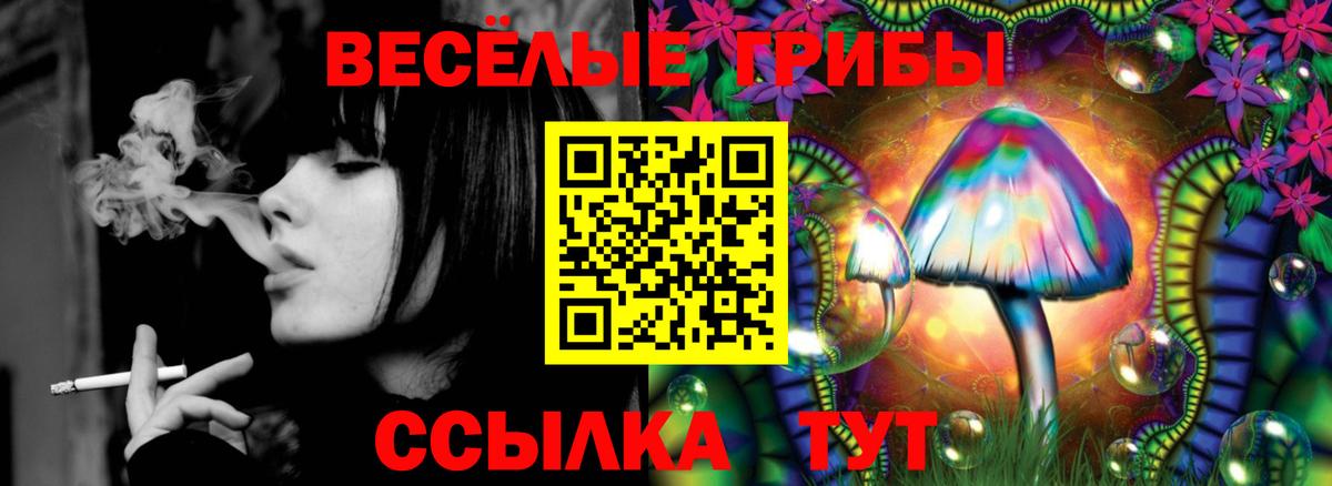 Псилоцибиновые грибы прущие грибы Великий Устюг