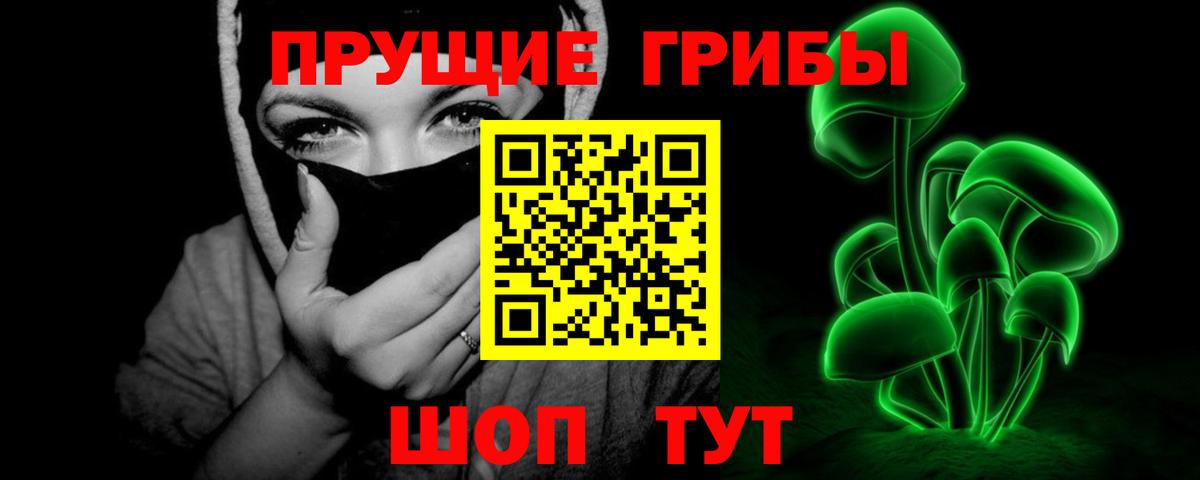 Псилоцибиновые грибы GOLDEN TEACHER Великий Устюг